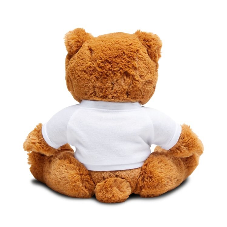 You're Loved Teddy Bear With T-shirt - Image 4